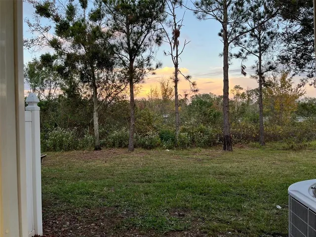 a big yard with lots of green space and trees