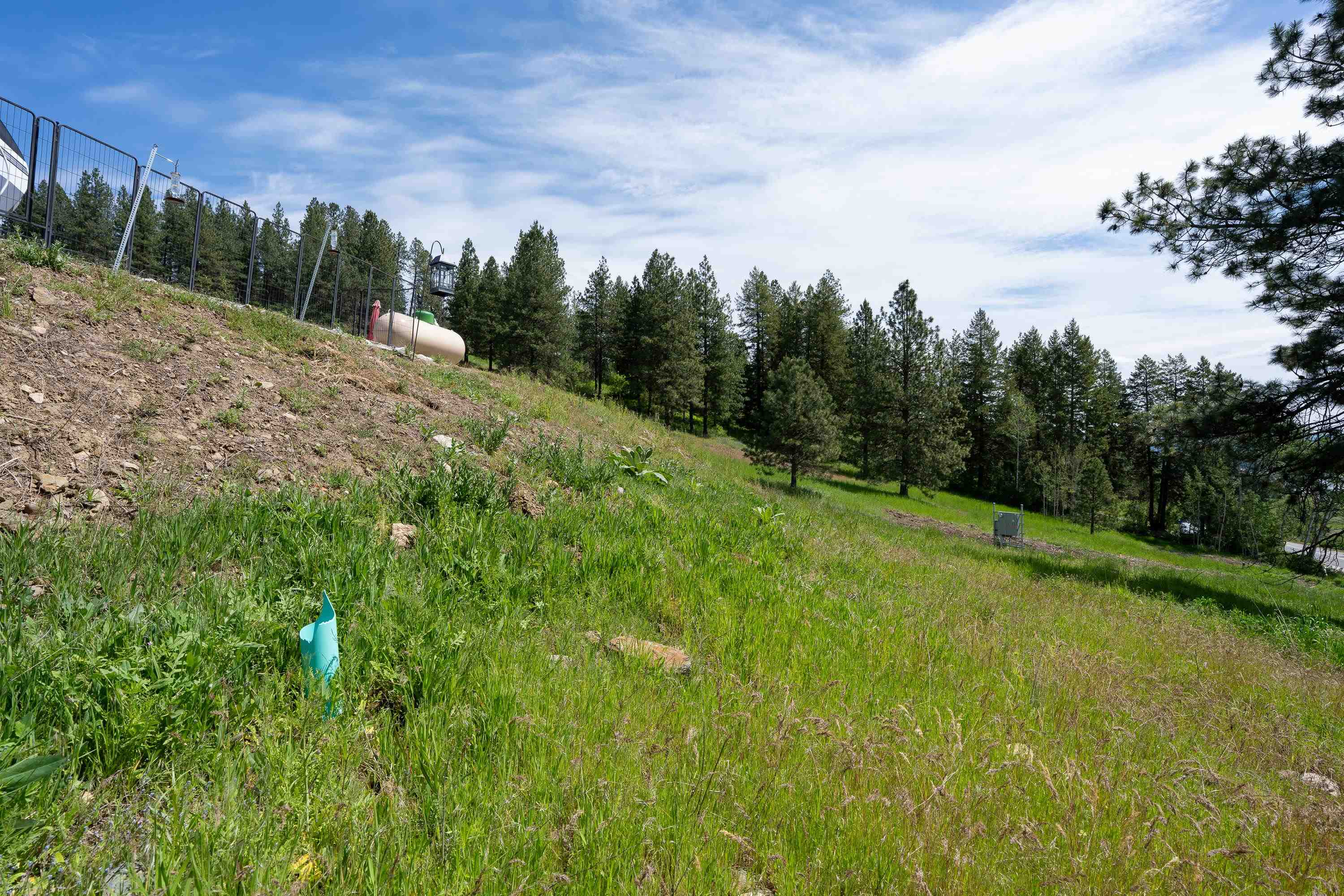 3474 D Waitts Lake Road Valley, WA 99181 - Photo 21 of 45