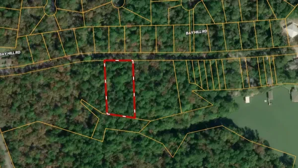 $25,000 | Lot 7 Bay Hill Road, Point Blank, TX 77364