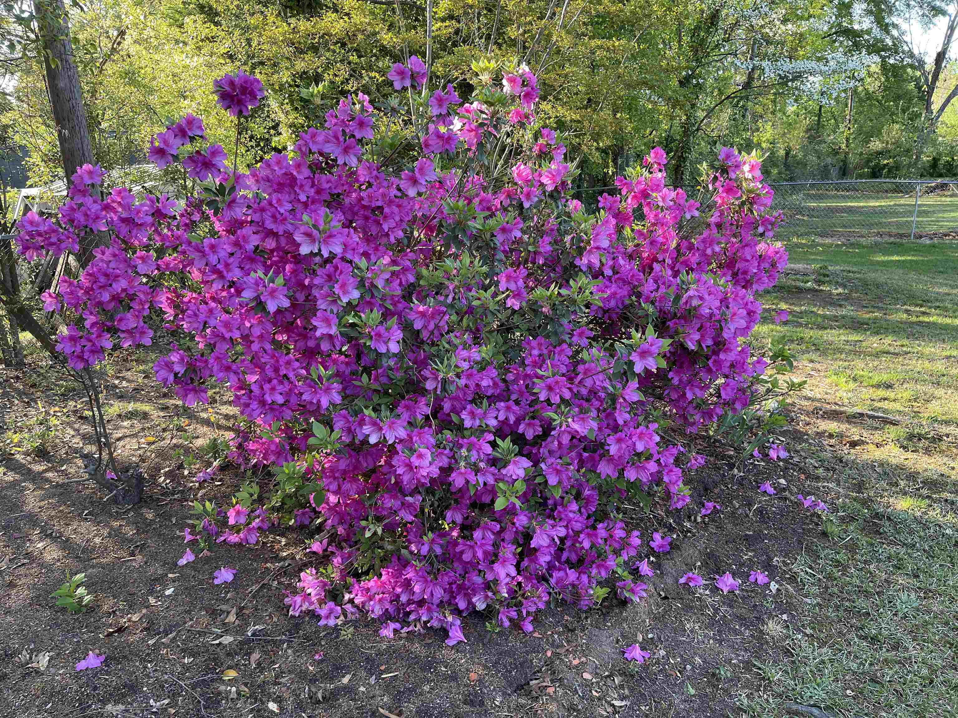 109 Loche Adele Drive Spartanburg, SC 29307 - Photo 23 of 27