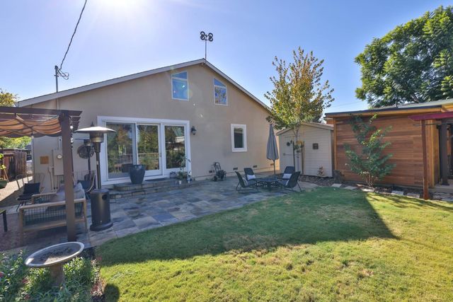 a view of a yard with plants and large trees