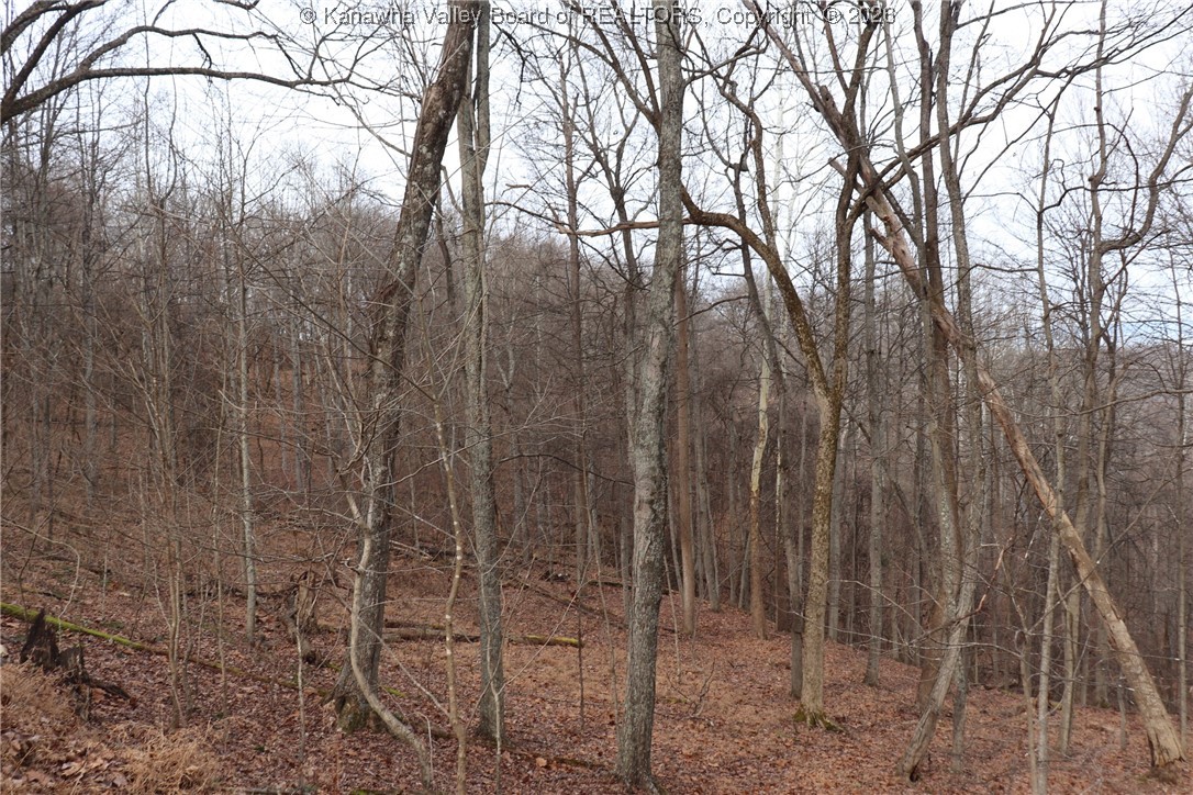 0 Route 12 Road Alum Creek, WV 25003 - Photo 10 of 44 Gallery Image 10