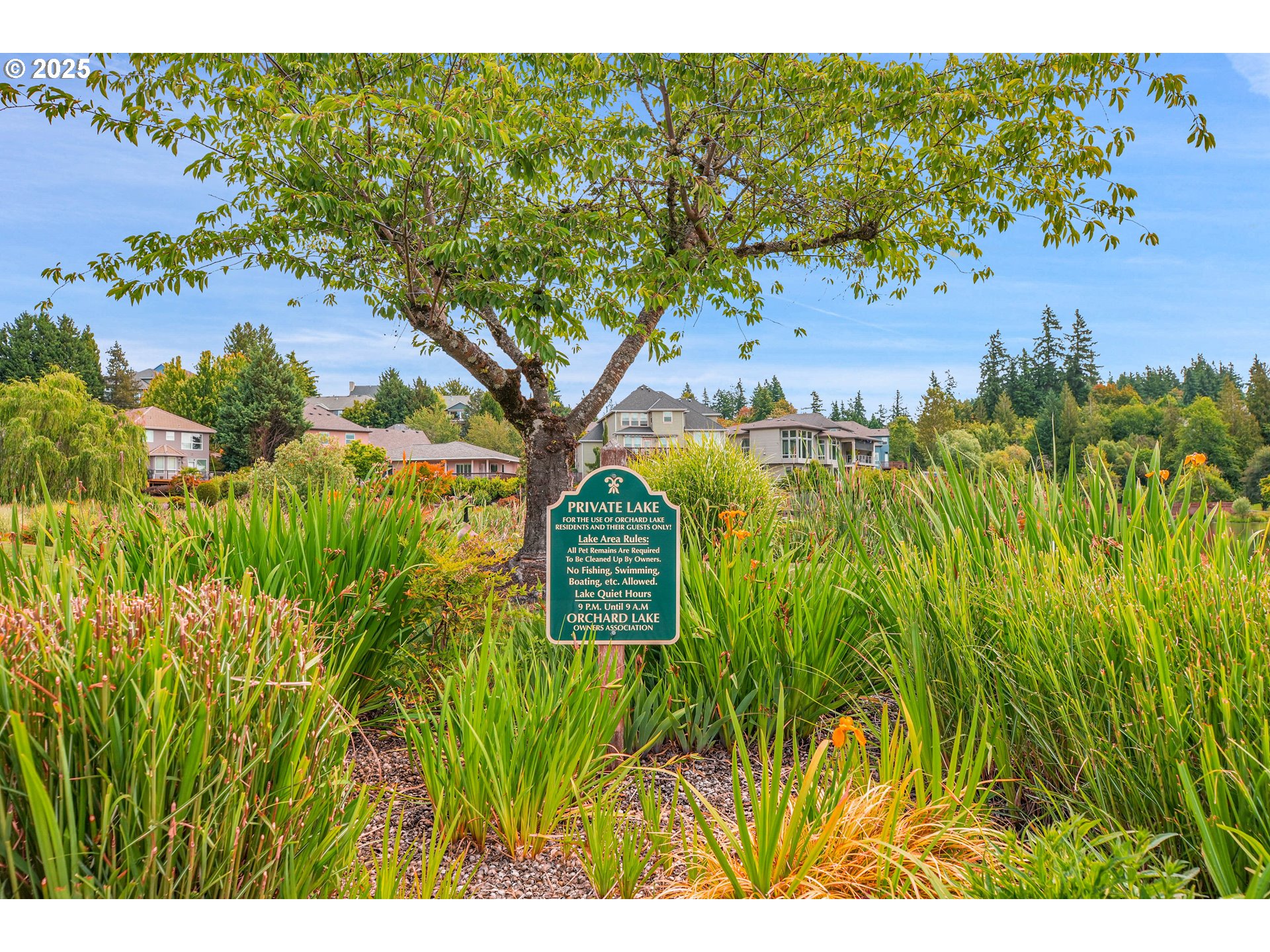 16099 Southeast Venice Ridge Way Damascus, OR 97089 - Photo 6 of 43