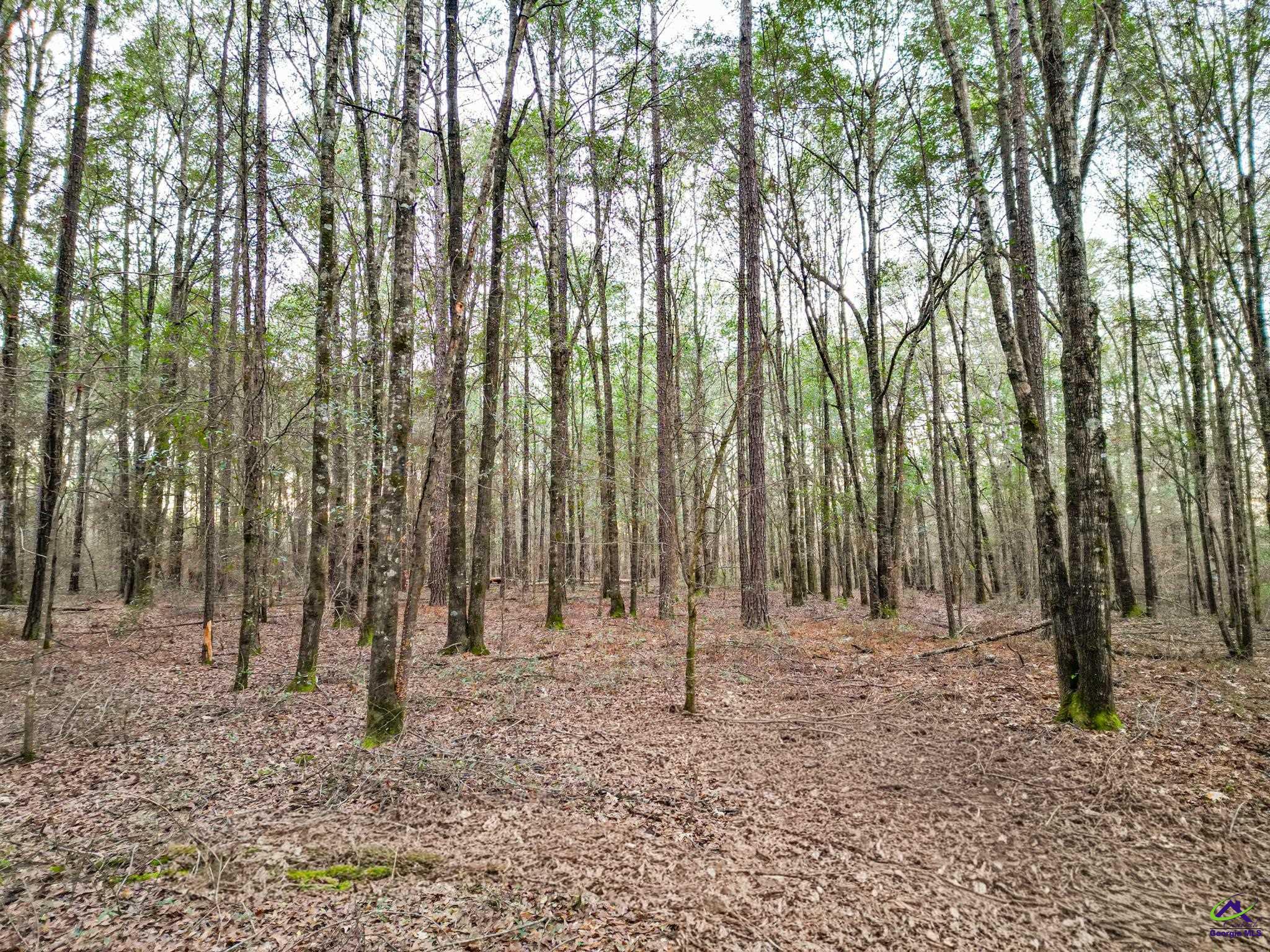 9036 Bullard Road Dry Branch, GA 31020 - Photo 44 of 72