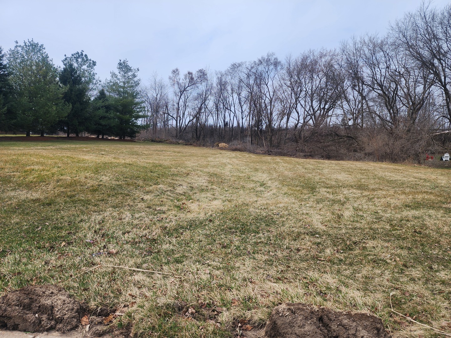 a view of outdoor space with yard