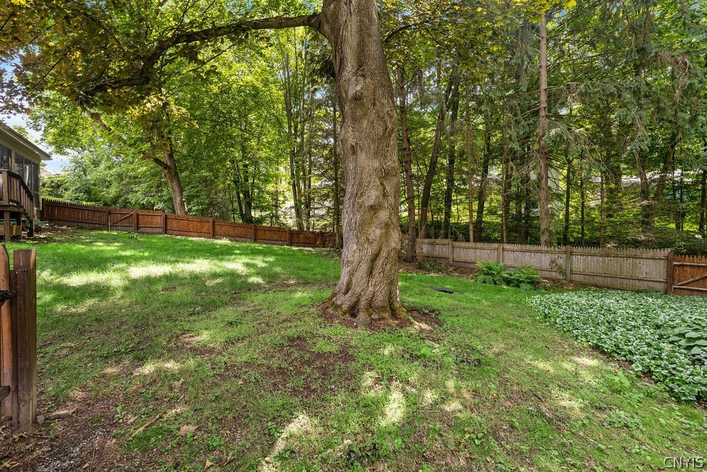 108 Archer Road Syracuse, NY 13207 - Photo 37 of 44 Deep private backyard