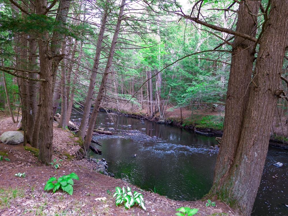 15 Bockes Road Londonderry, NH 03053 - Photo 11 of 37