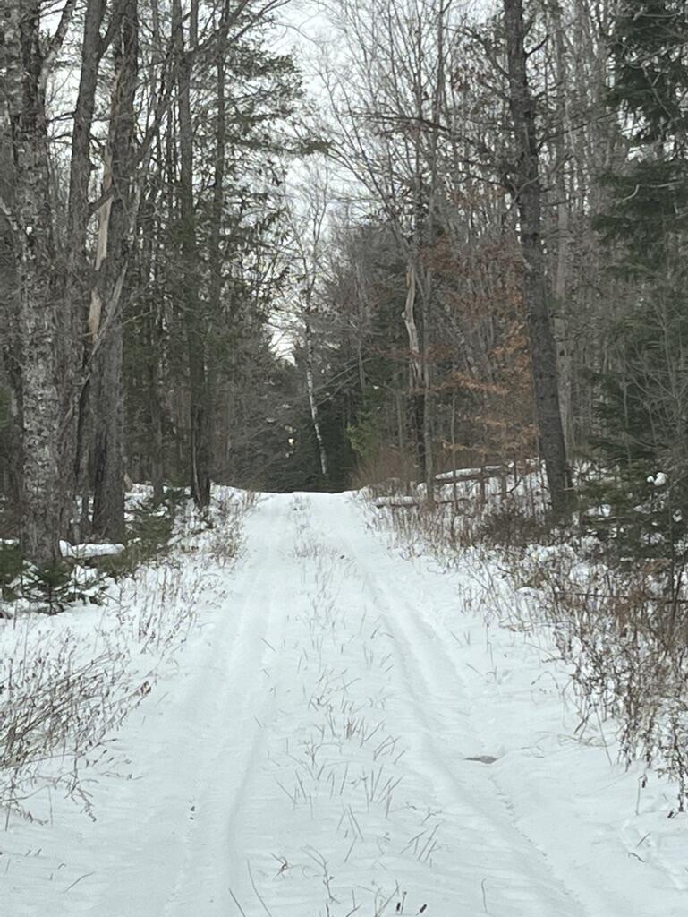 5 Fickett Road Etna, ME 04434 - Photo 22 of 23