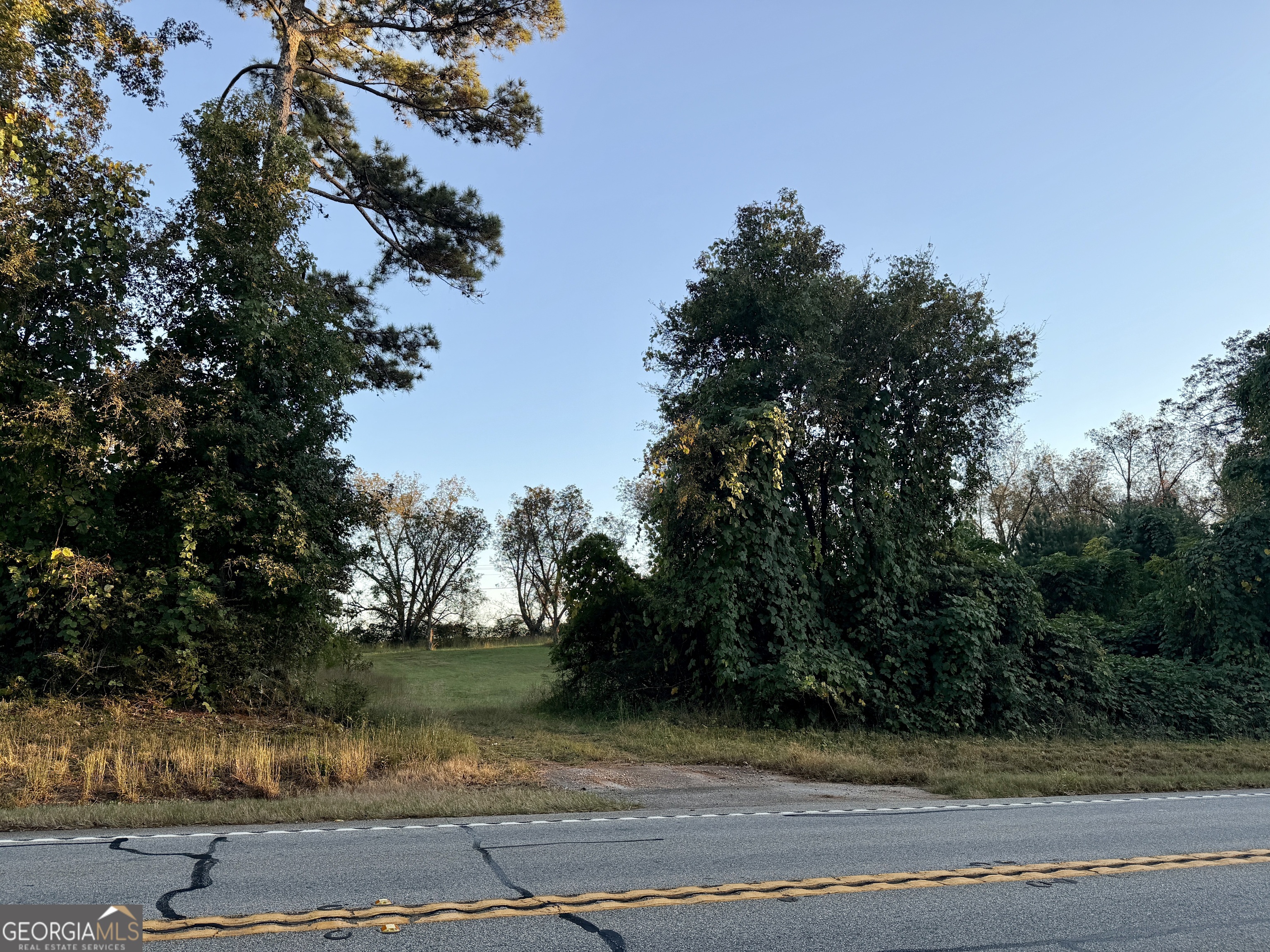 0 Highway 16 West Monticello, GA 31064 - Photo 2 of 13 a view of a yard