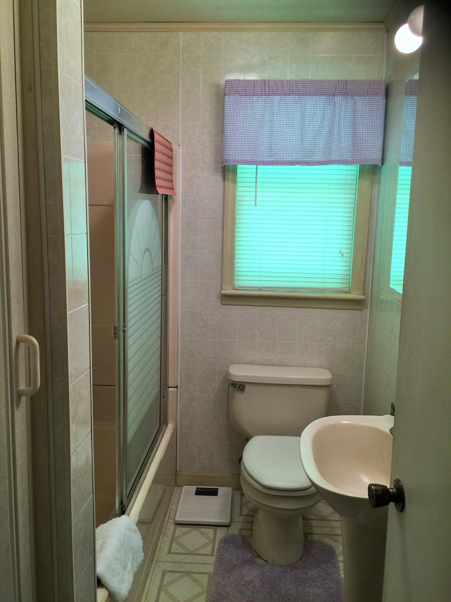 1306 John Arthur Road Boones Mill, VA 24065 - Photo 6 of 15 Entry level bathroom