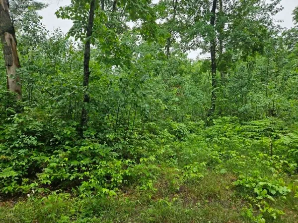 $59,900 | Lot 3 Hilly Lane, Spooner, WI 54801