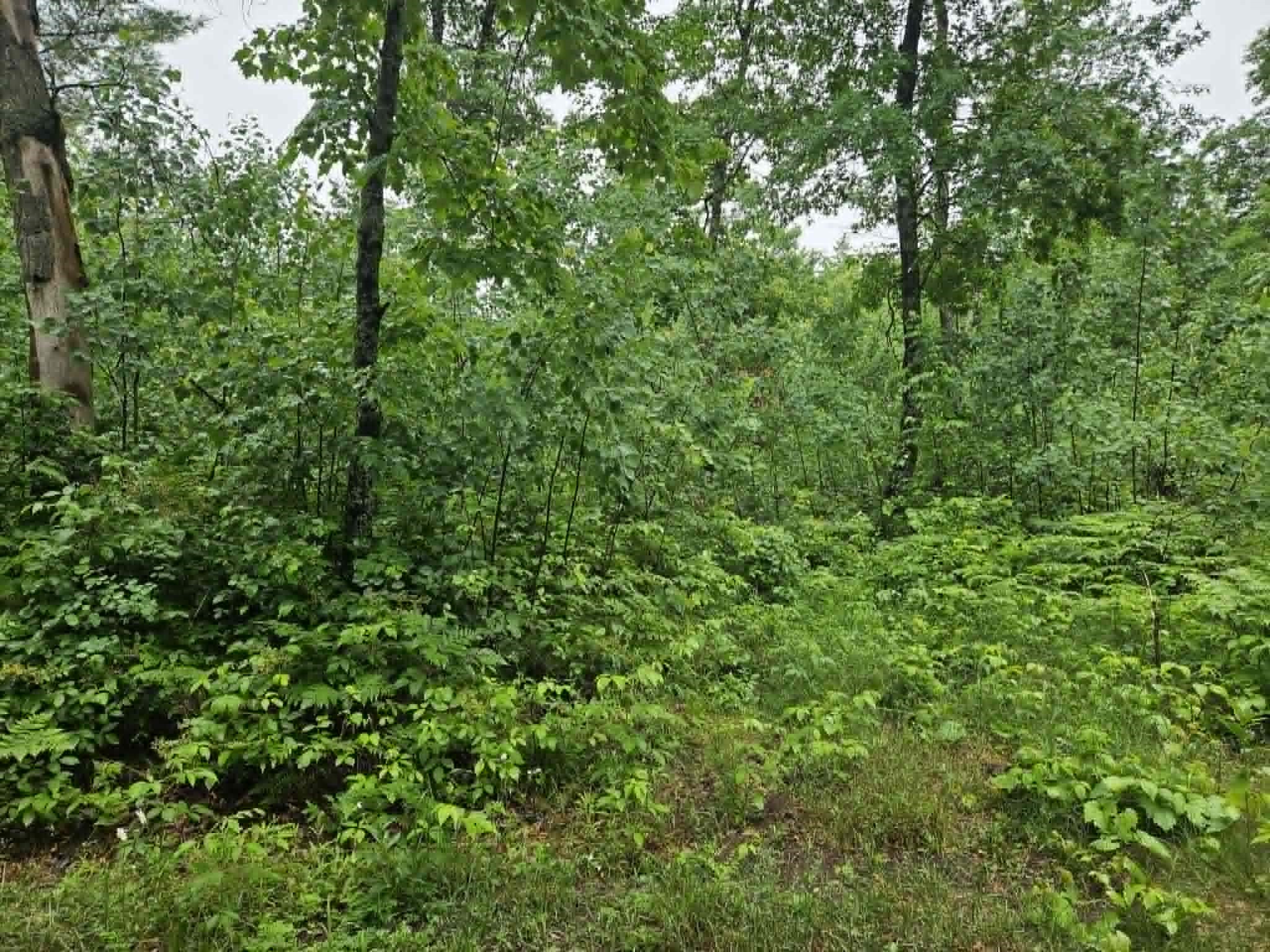 Lot 3 Hilly Lane Spooner, WI 54801 - Photo 1 of 4