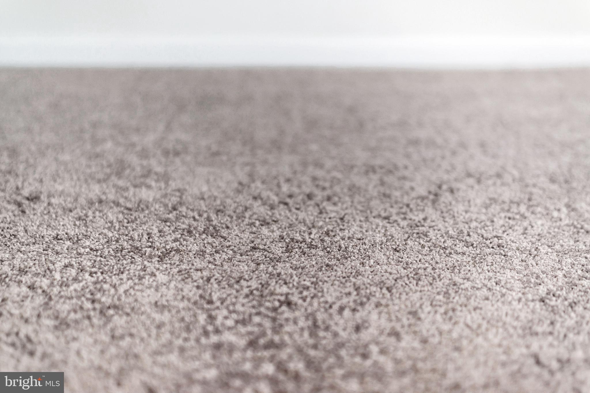 4132 Marx Avenue Baltimore, MD 21206 - Photo 76 of 76 a view of a dry yard with wooden floor