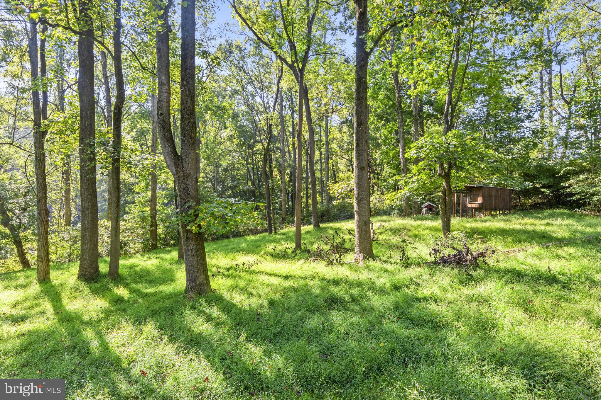 570 Chandler Mill Road Avondale, PA 19311 - Photo 7 of 41 a view of lush green forest