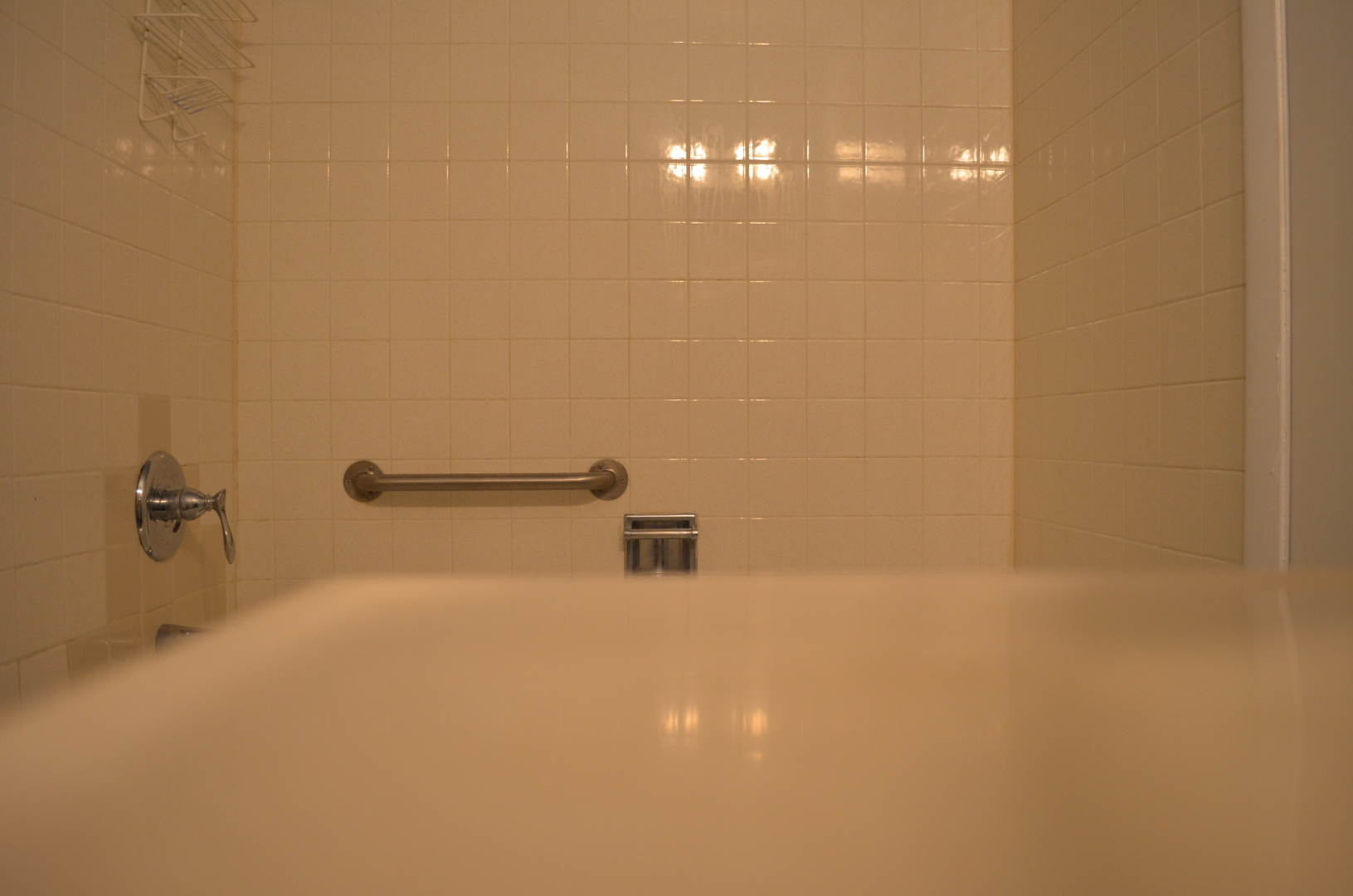 10361 Dearlove Road, Unit 1I Glenview, IL 60025 - Photo 12 of 32