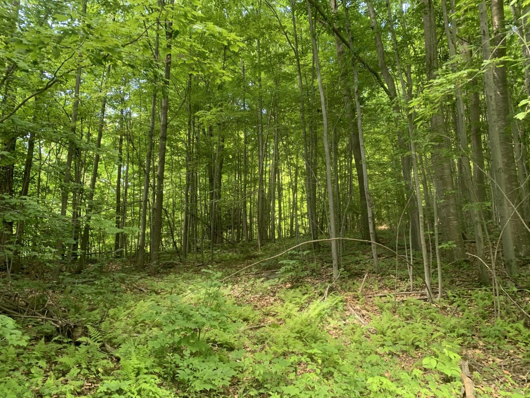 449 Dodd Road Fairfield, VT 05448 - Photo 5 of 8