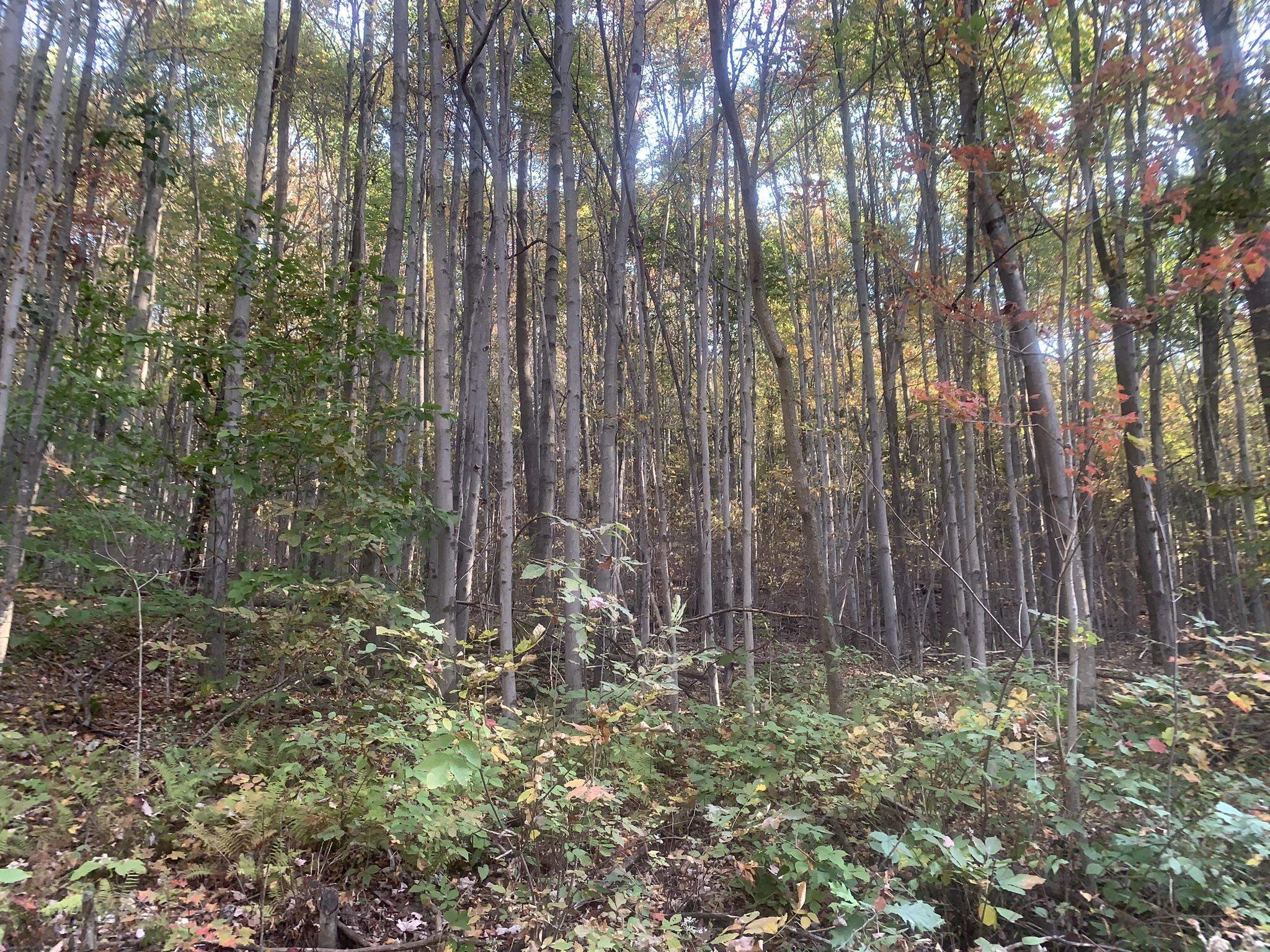 449 Dodd Road Fairfield, VT 05448 - Photo 6 of 8