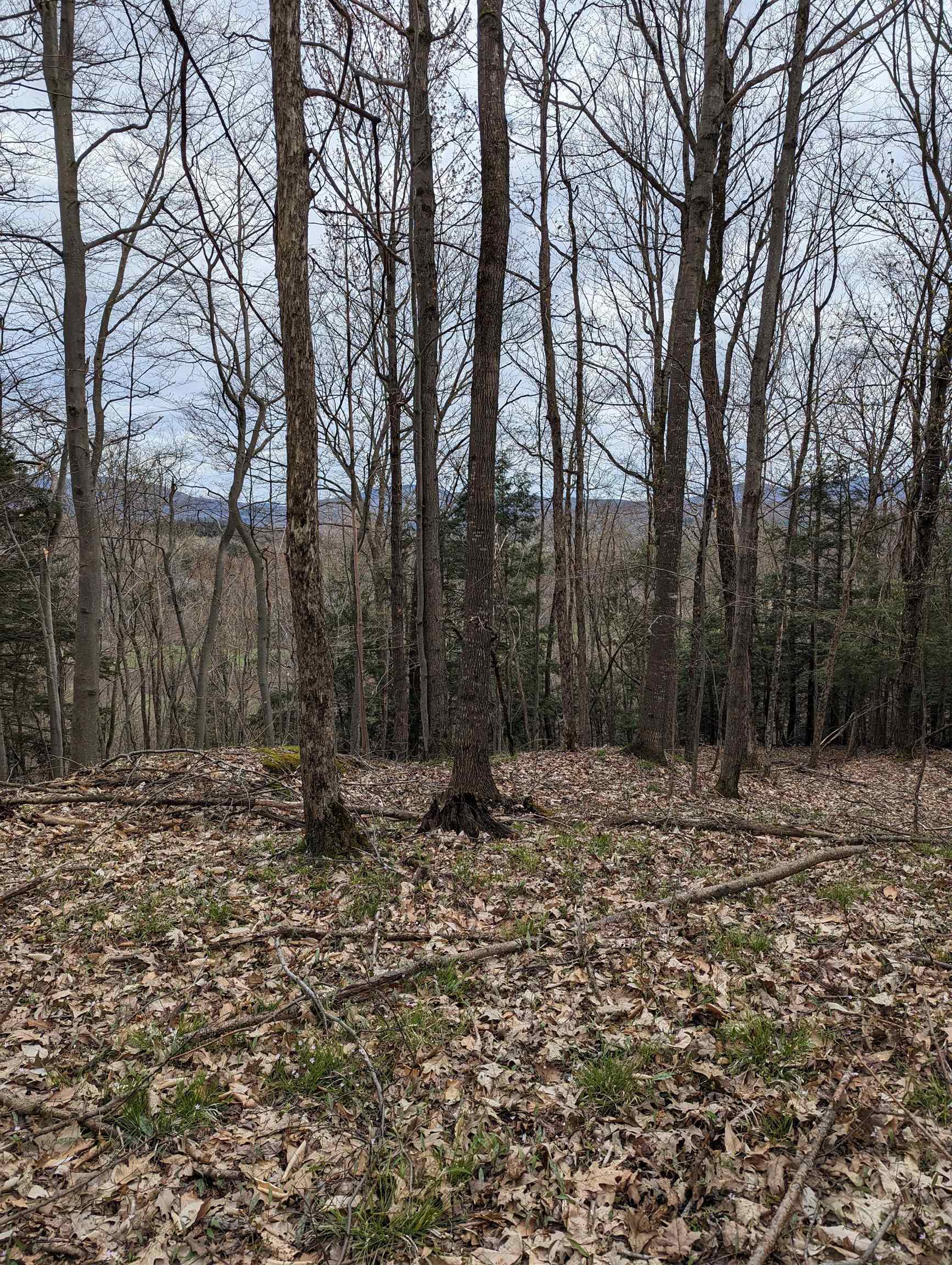 449 Dodd Road Fairfield, VT 05448 - Photo 7 of 8