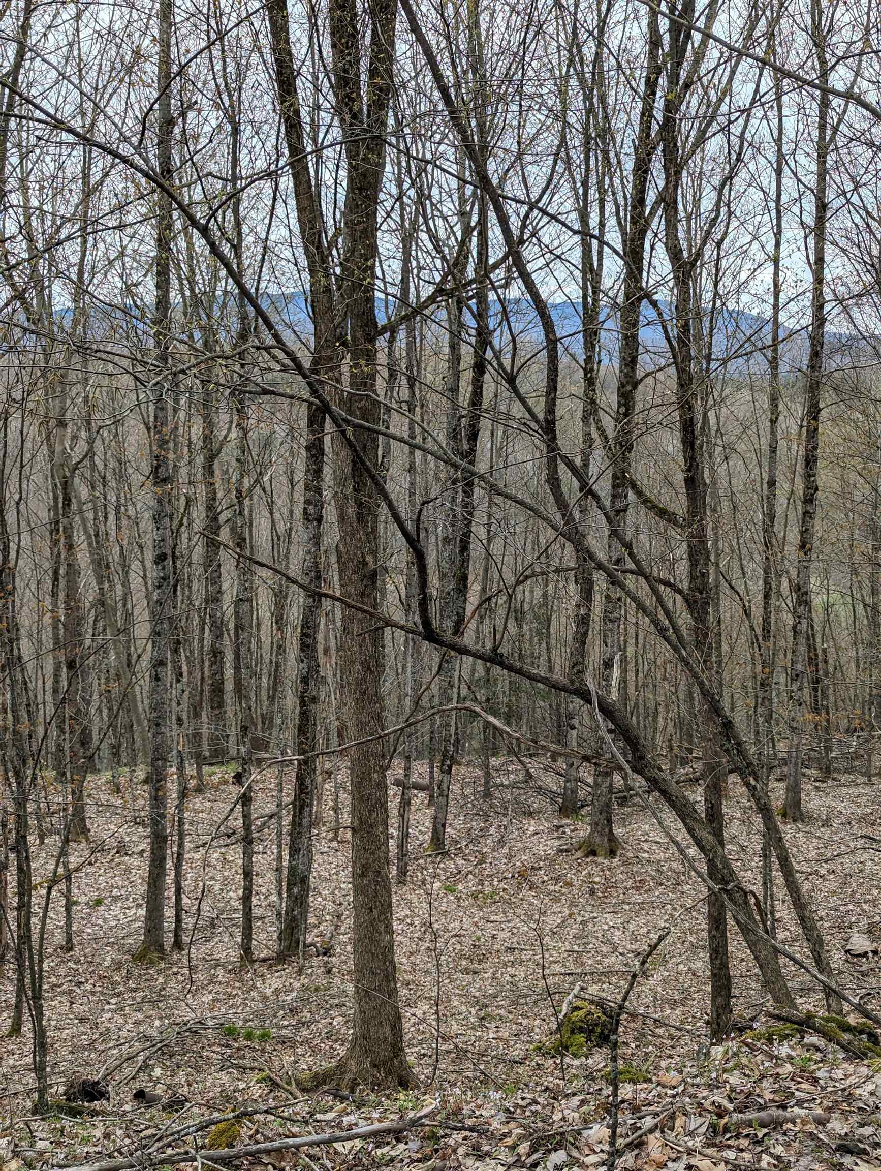 449 Dodd Road Fairfield, VT 05448 - Photo 8 of 8