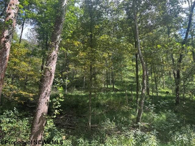 Tbd Hagans Road Rivesville, WV 26588 - Photo 20 of 21 Gallery Image 20