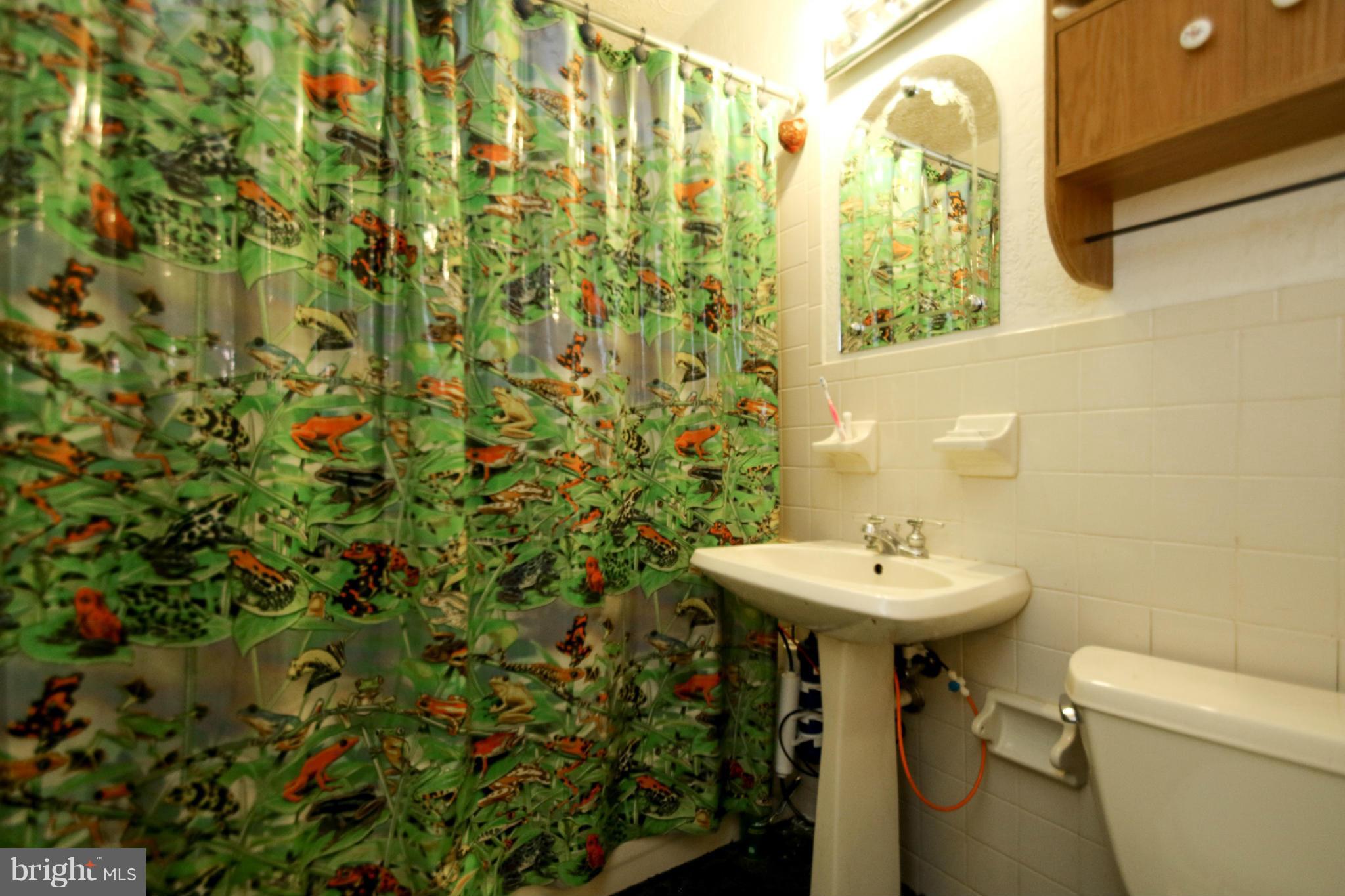 8183 Hog Neck Road Pasadena, MD 21122 - Photo 15 of 29 a bathroom with a sink and mirror