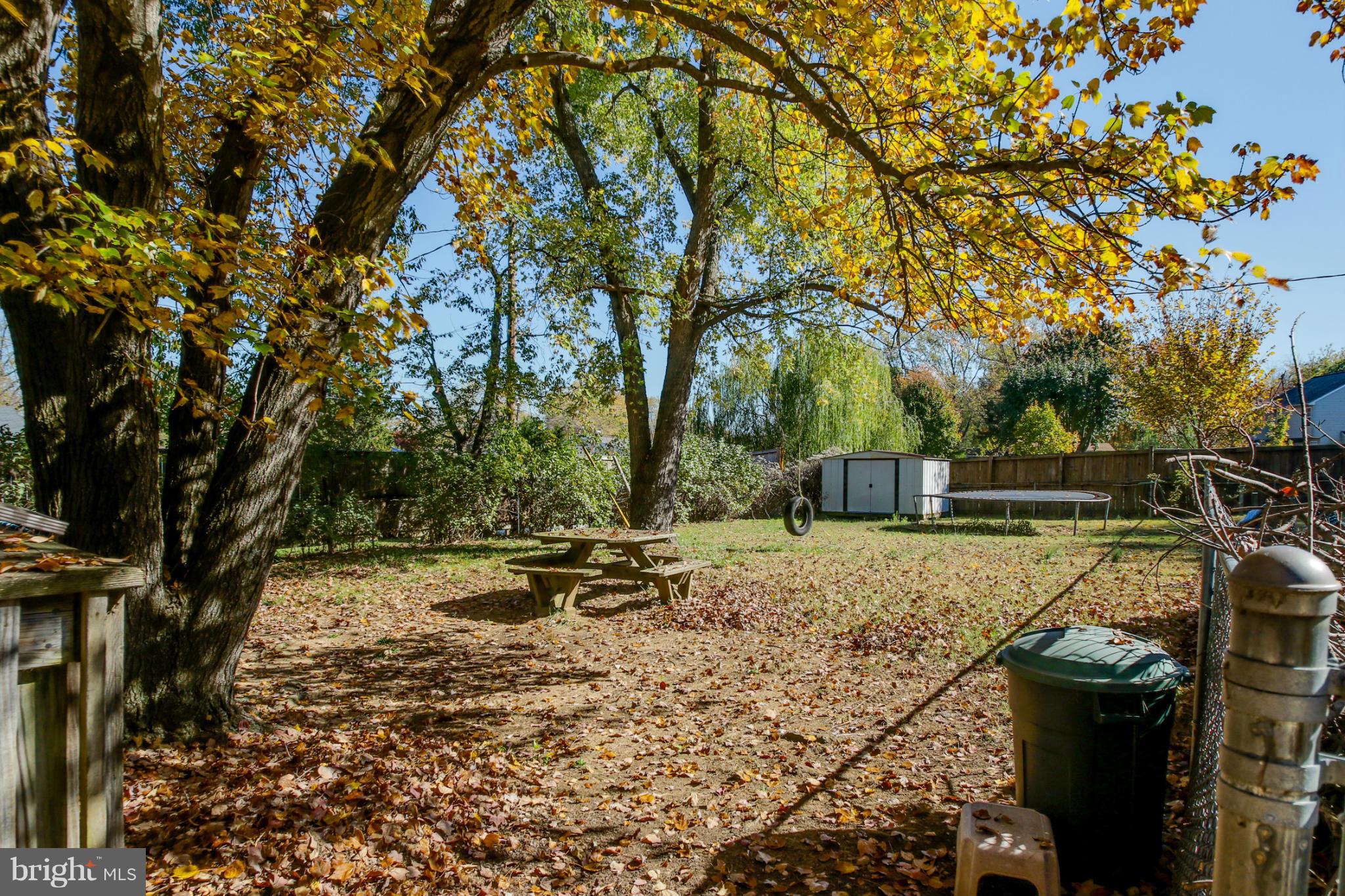 8183 Hog Neck Road Pasadena, MD 21122 - Photo 18 of 29 a view of a backyard with trees