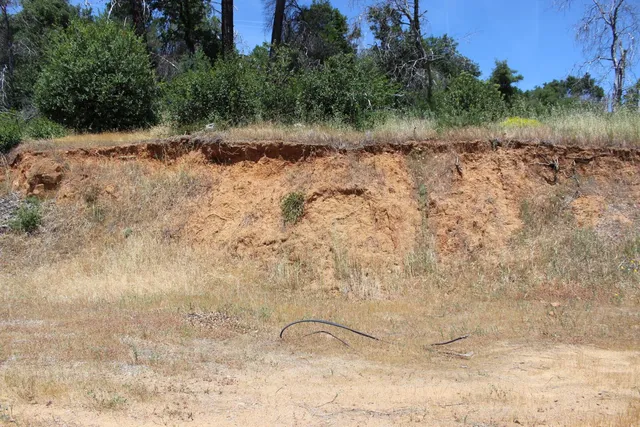 a view of a dry yard with wooden fence