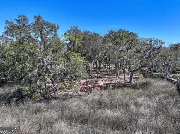 $225,000 | 0 Riverview West Drive, Kings Bay, GA 31558