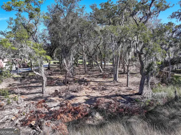 $225,000 | 0 Riverview West Drive, Kings Bay, GA 31558