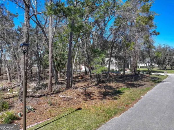 $225,000 | 0 Riverview West Drive, Kings Bay, GA 31558