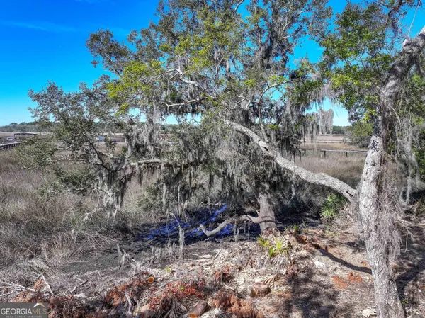 $225,000 | 0 Riverview West Drive, Kings Bay, GA 31558