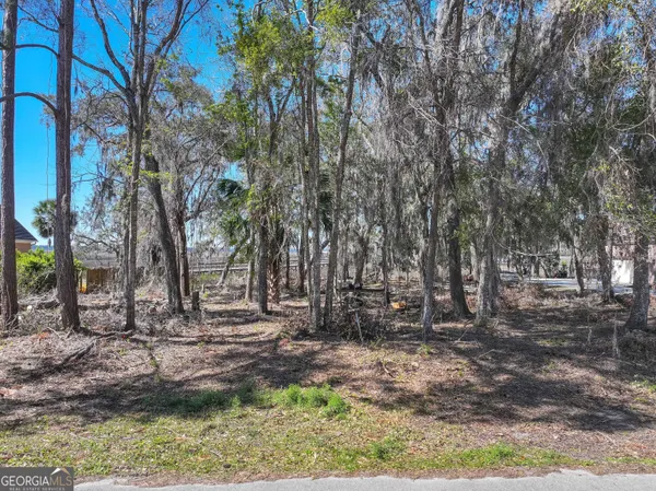 $225,000 | 0 Riverview West Drive, Kings Bay, GA 31558