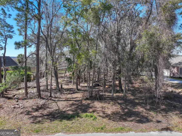 $225,000 | 0 Riverview West Drive, Kings Bay, GA 31558