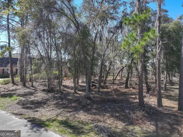 $225,000 | 0 Riverview West Drive, Kings Bay, GA 31558