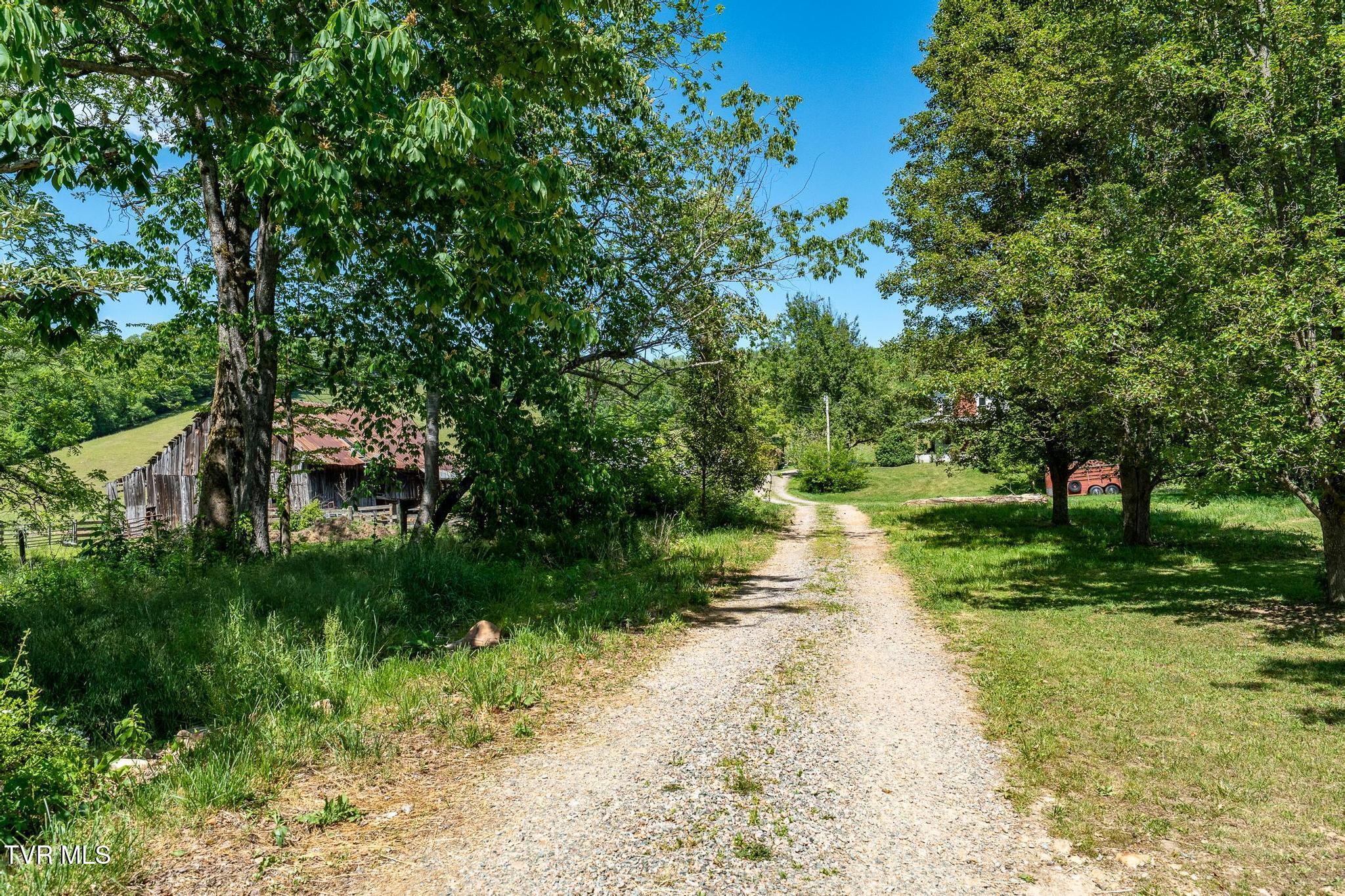 517 Mill Creek Road Mountain City, TN 37683 - Photo 38 of 52 517 Mill Creek Road (41 of 52)