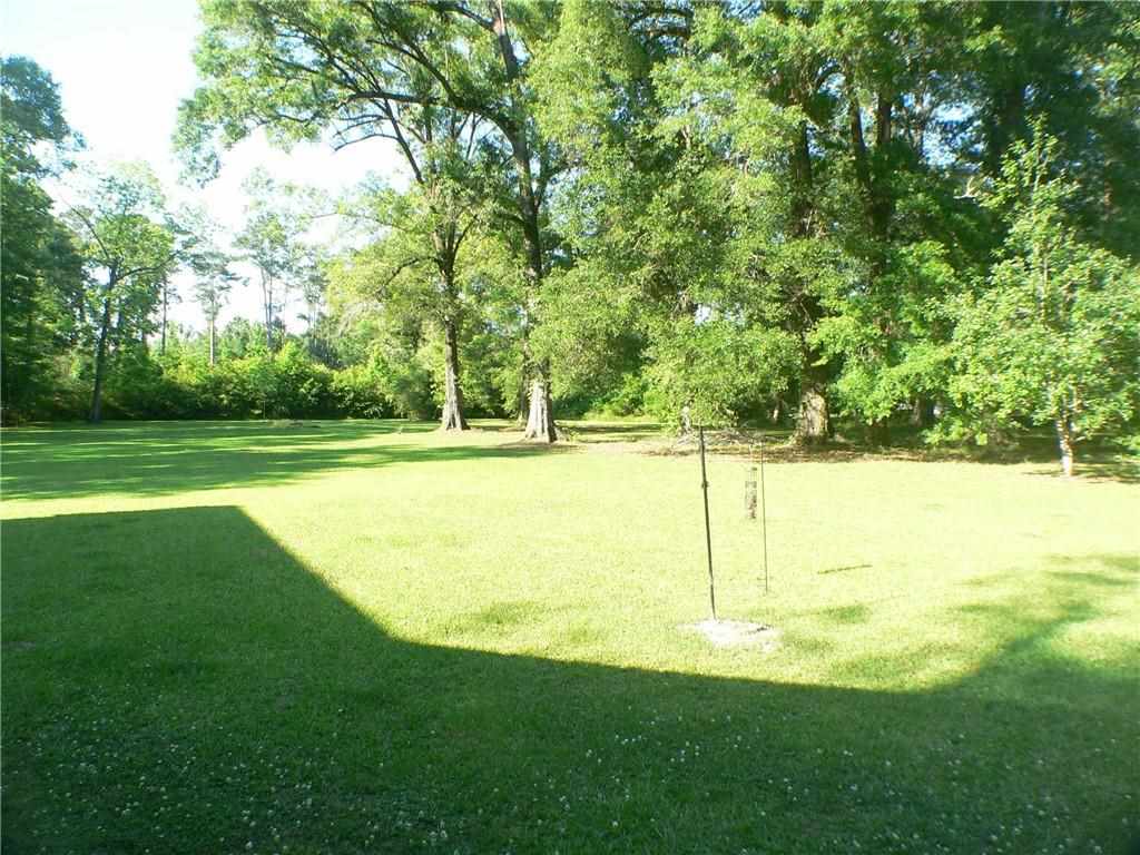 20279 Chappepeela Road Loranger, LA 70446 - Photo 10 of 37 Gallery Image 10