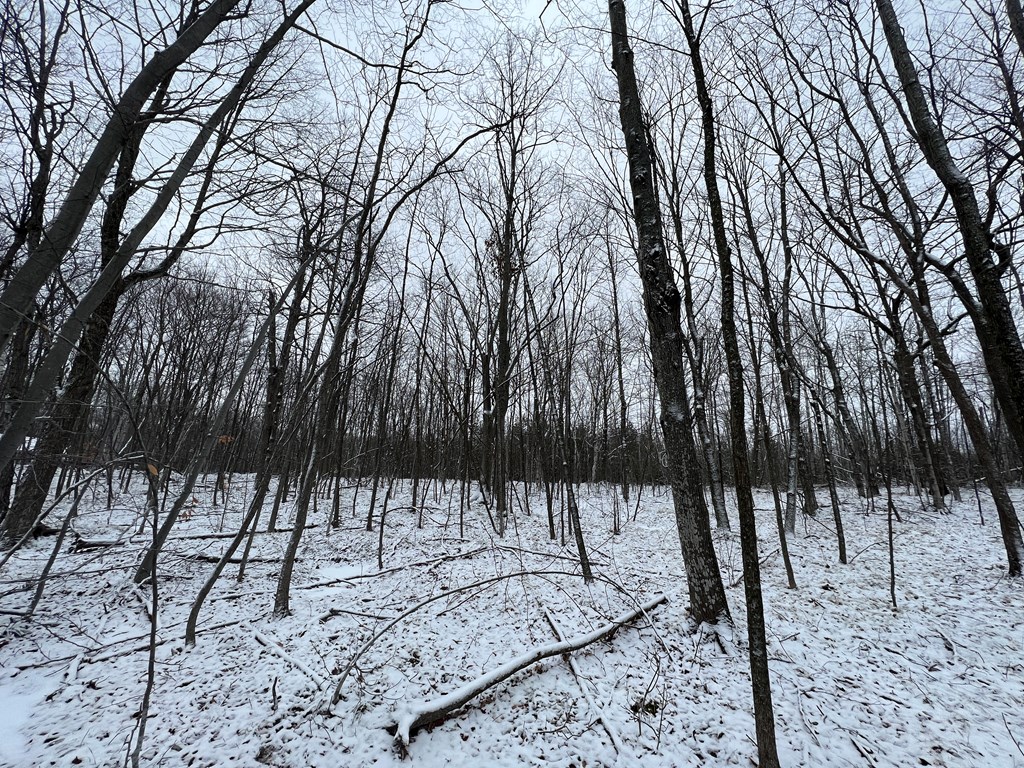 Tbd Juddville Hill Road Fish Creek, WI 54212 - Photo 27 of 31