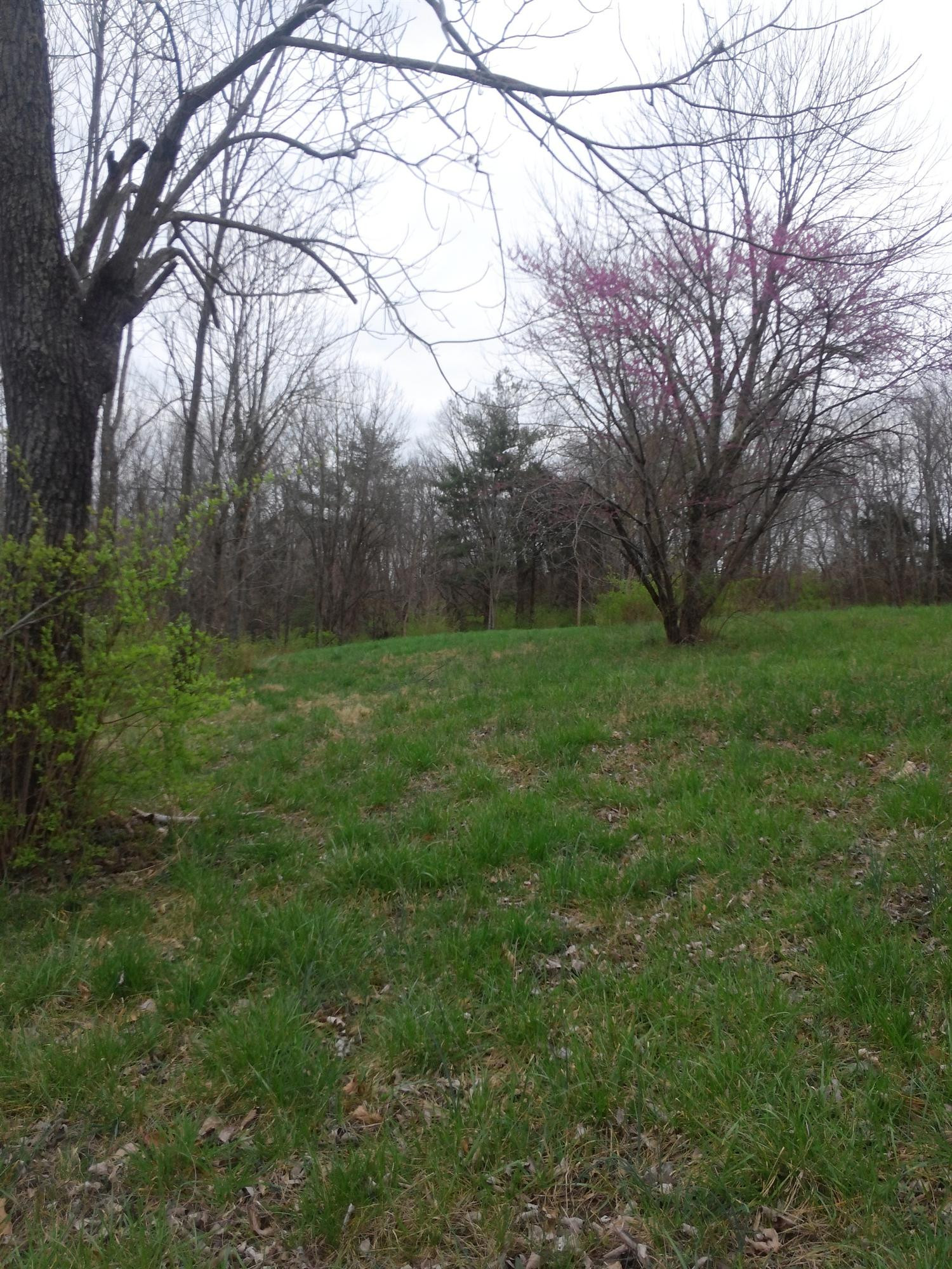 49 Hamilton Springs Road Lancaster, KY 40444 - Photo 19 of 23 Photo 19