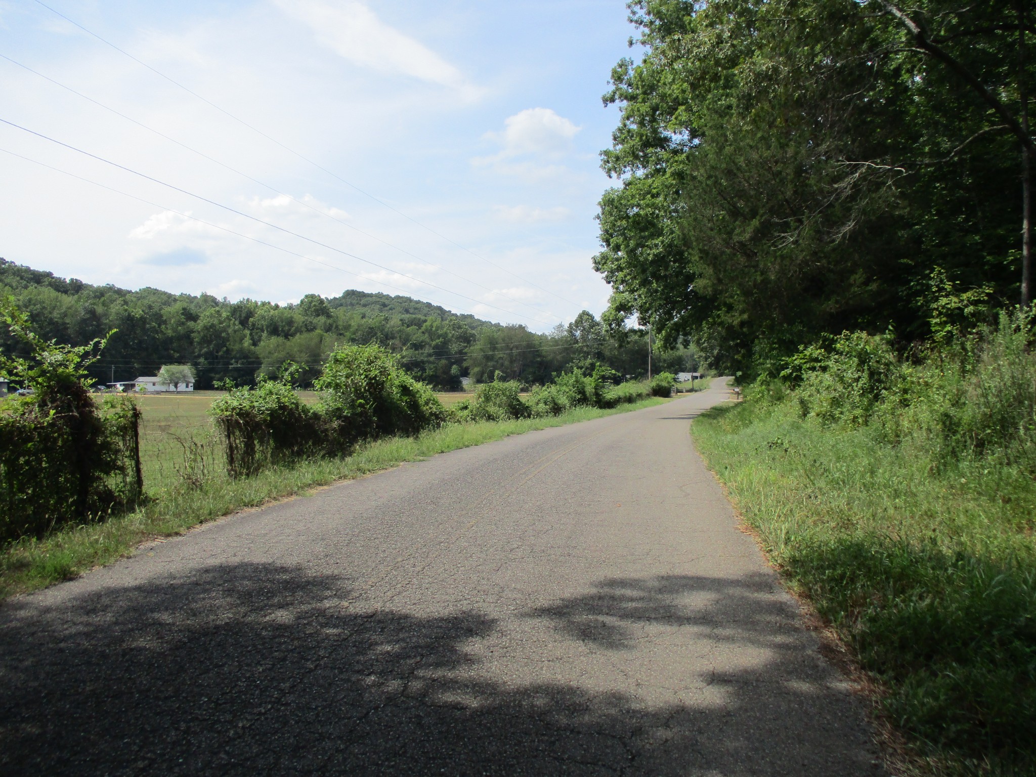0 Red Bank Creek Road Lobelville, TN 37097 - Photo 8 of 8 a view of a road with a yard