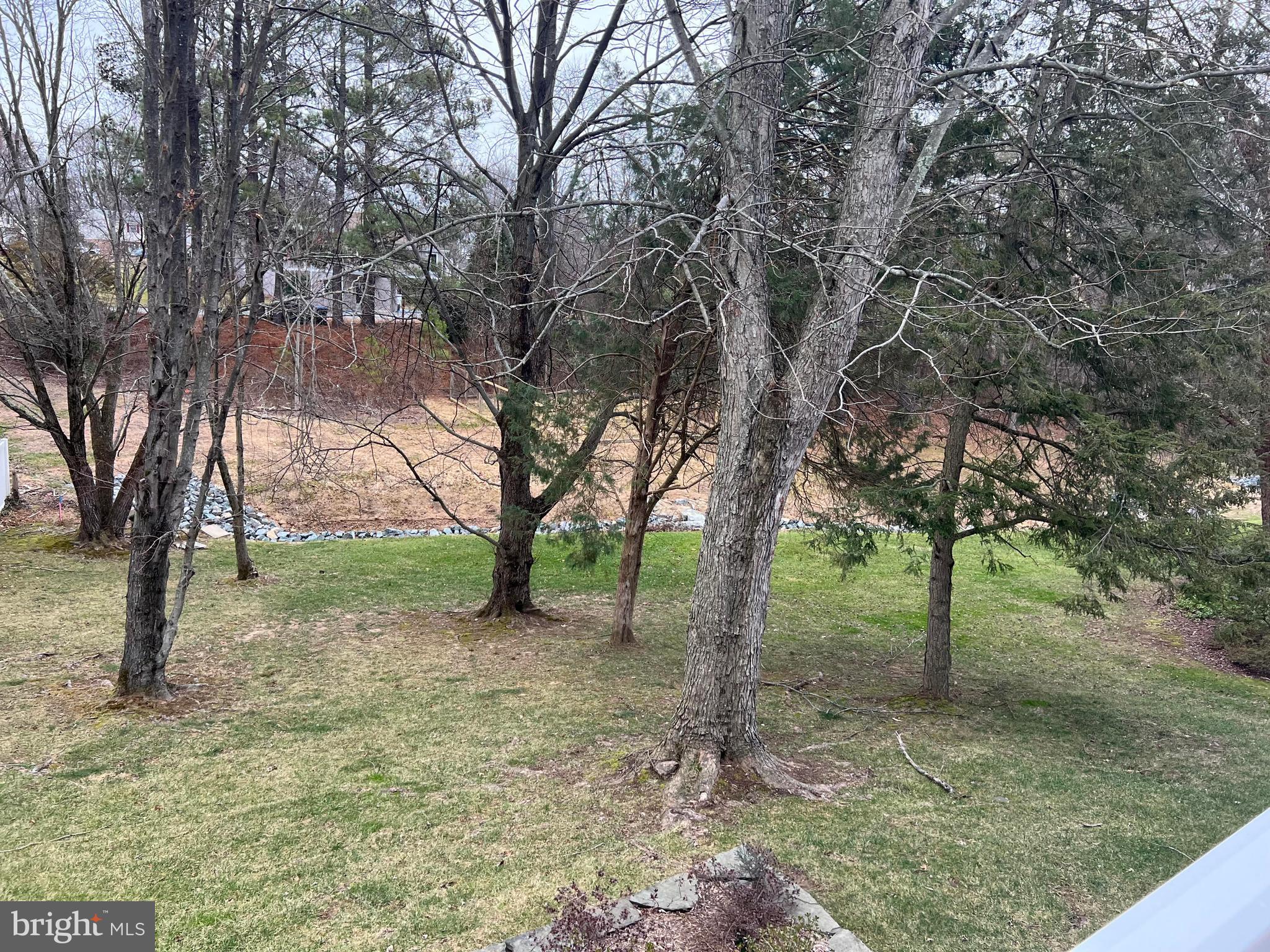 8720 Evangel Drive Springfield, VA 22153 - Photo 63 of 77 View of back yard