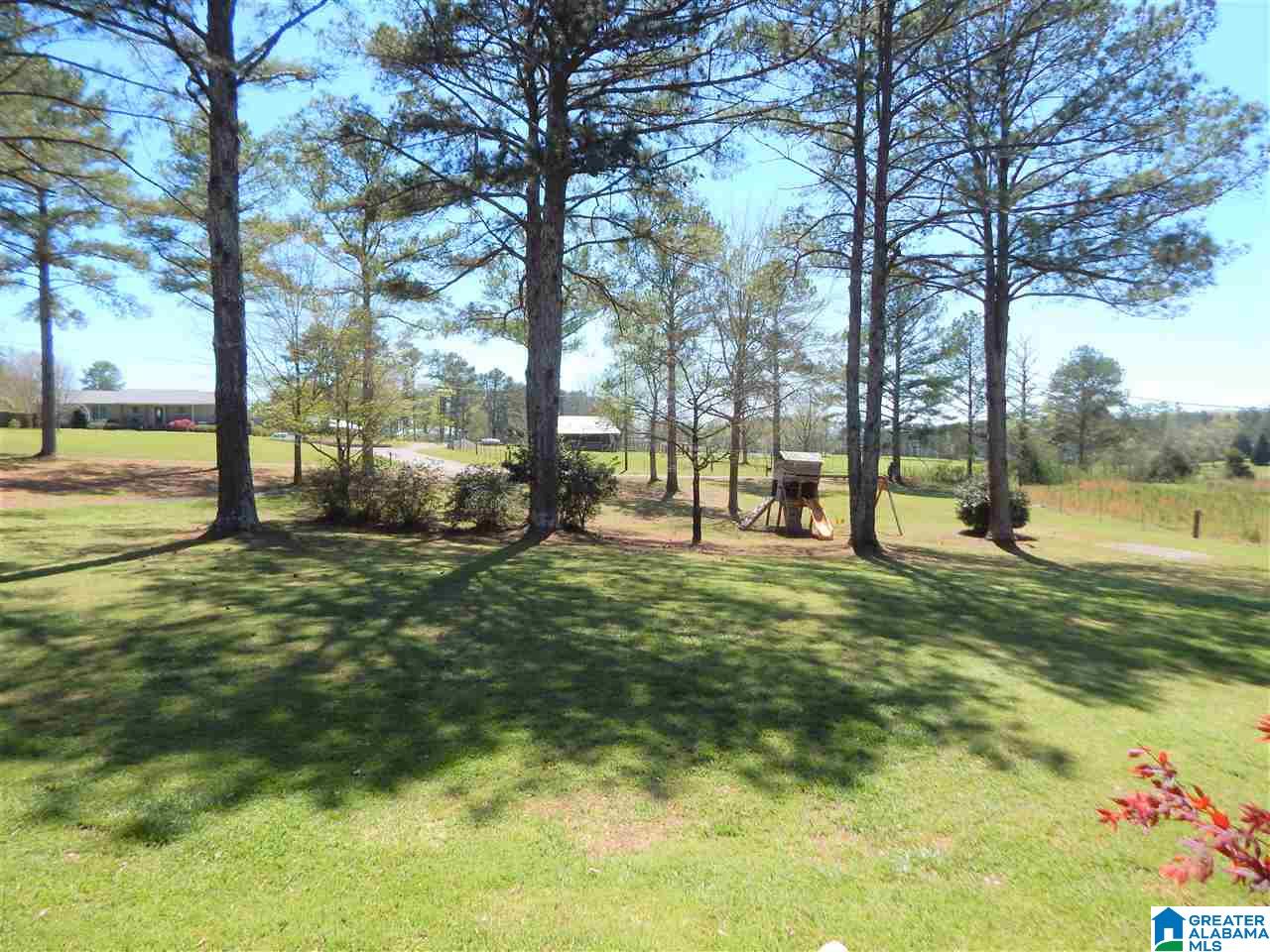 173 Tawbush Road Trafford, AL 35172 - Photo 30 of 50
