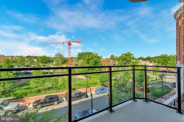 a view of a pathway with a flower garden