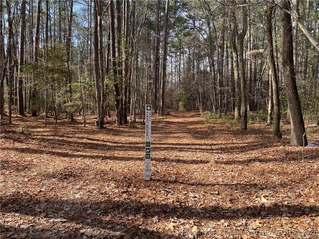 Western Trail Carthage, NC 28327 - Photo 1 of 14