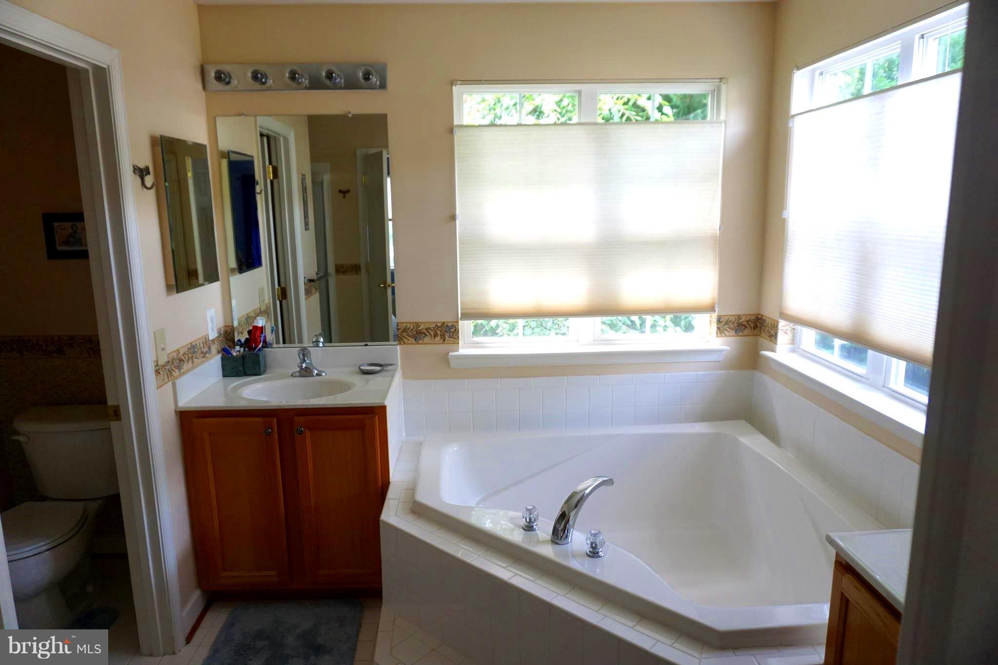 1810 Greysens Ferry Court Point of Rocks, MD 21777 - Photo 22 of 30 Bath (Master)