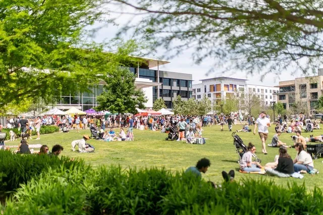 a view of a park with plants and large trees