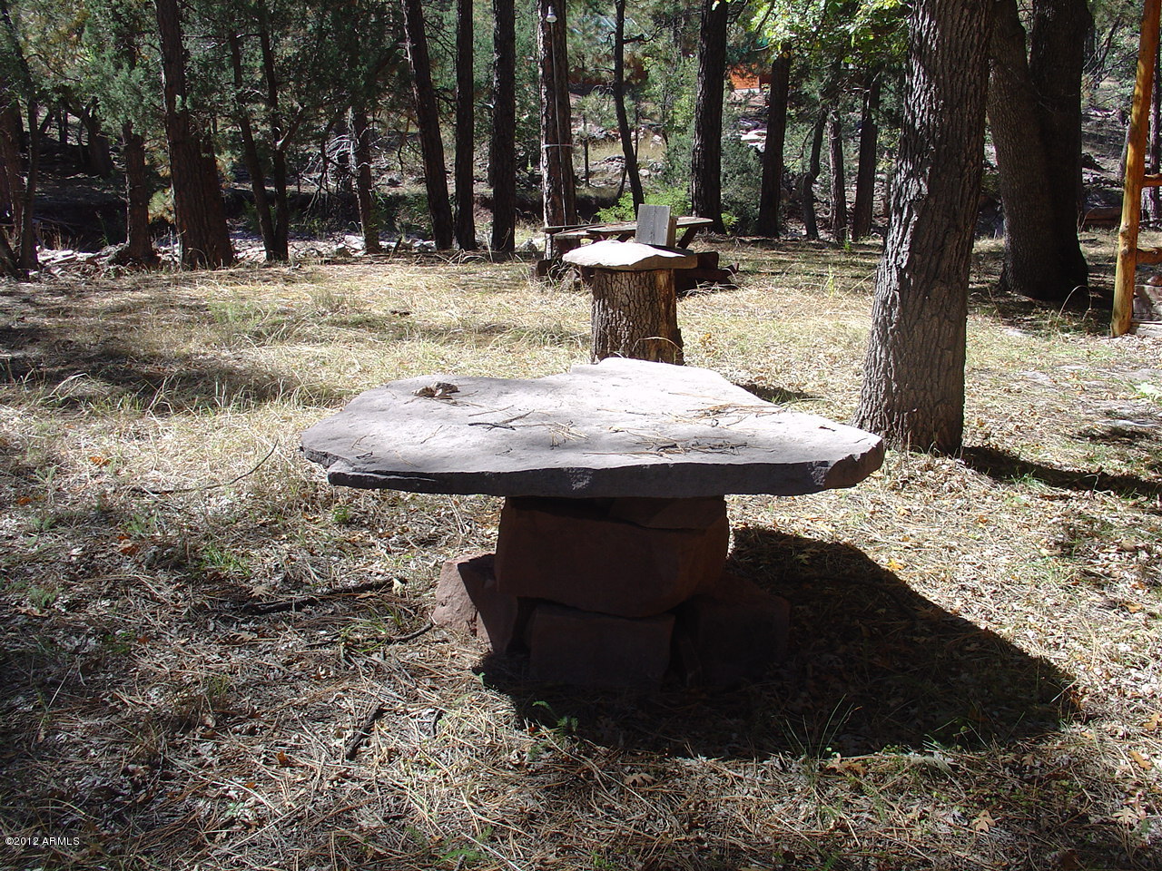 283 West Diamond Road Payson, AZ 85541 - Photo 18 of 21 14DPSH (21)