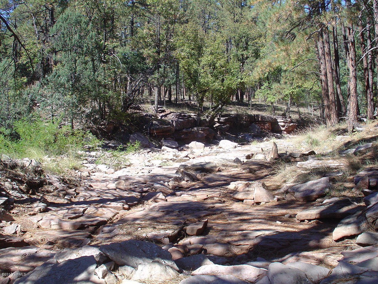 283 West Diamond Road Payson, AZ 85541 - Photo 19 of 21 14DPSH (3)