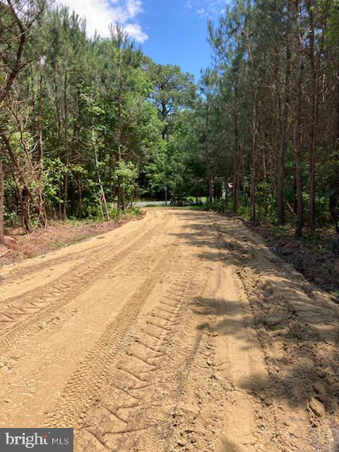 84 Old Rehobeth Road Marion Station, MD 21838 - Photo 1 of 10