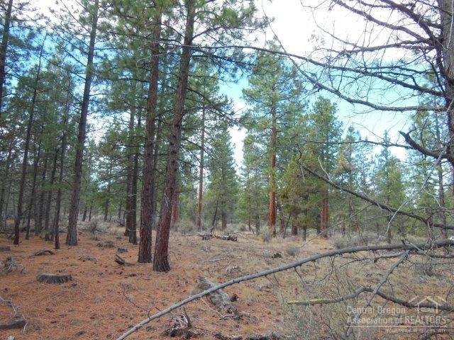 17785 Wilt Road Sisters, OR 97759 - Photo 22 of 25 a view of a forest filled with trees