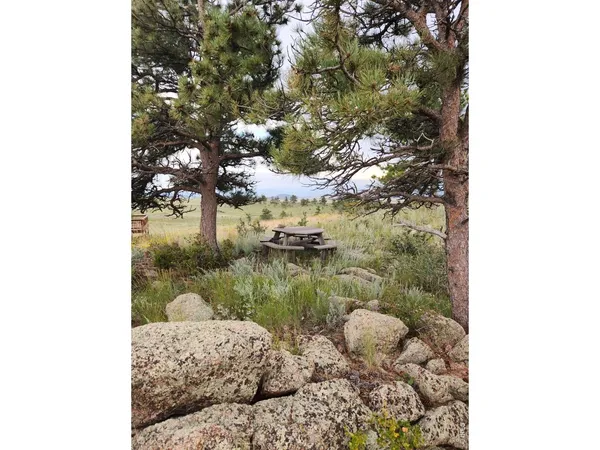 a picture of a lake view